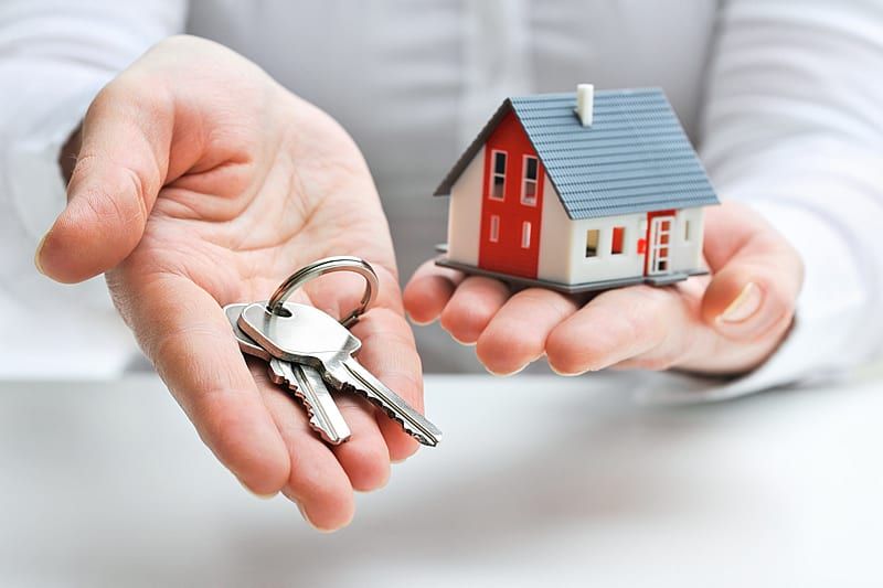 investor property north cyprus