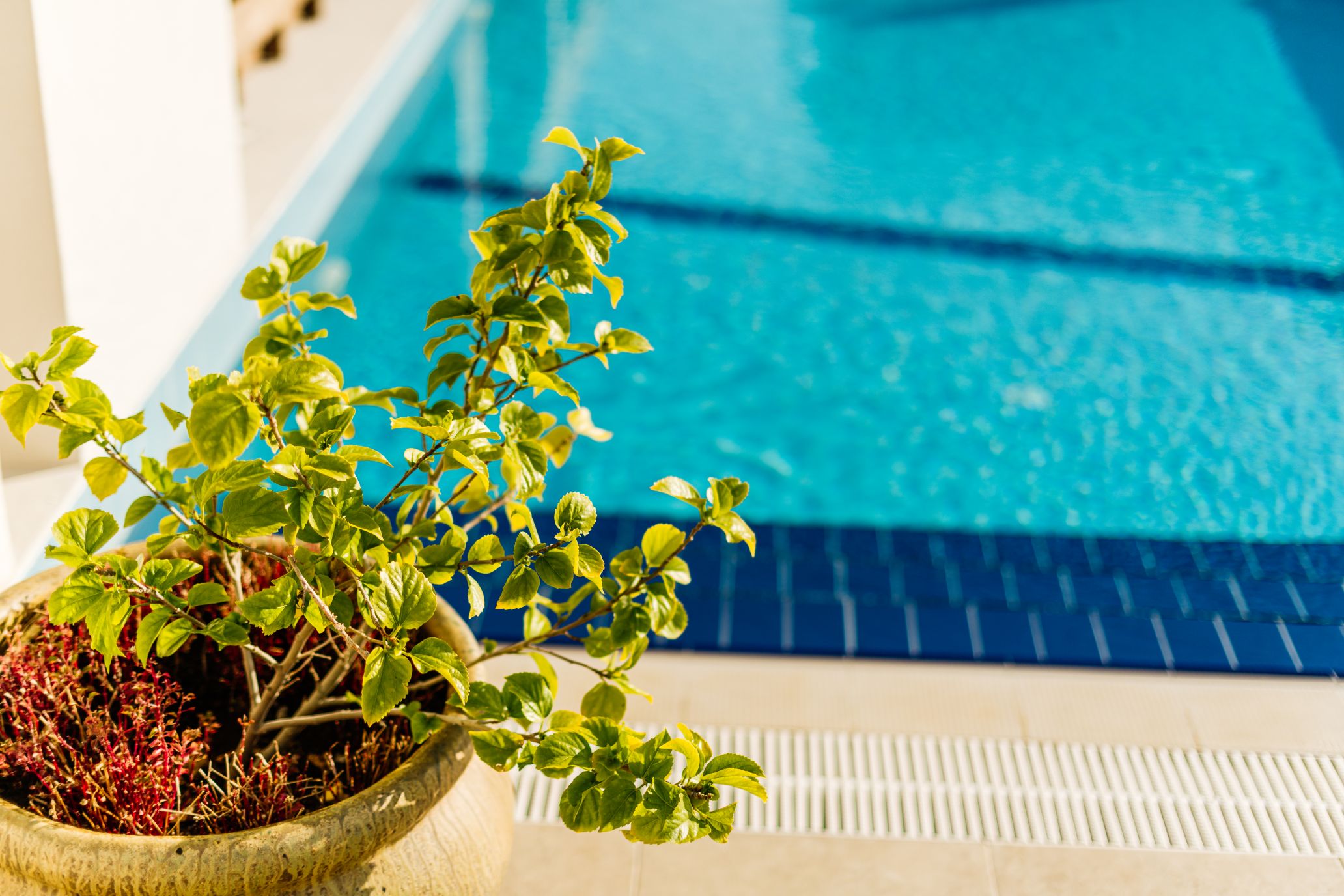1 bedroom property north cyprus