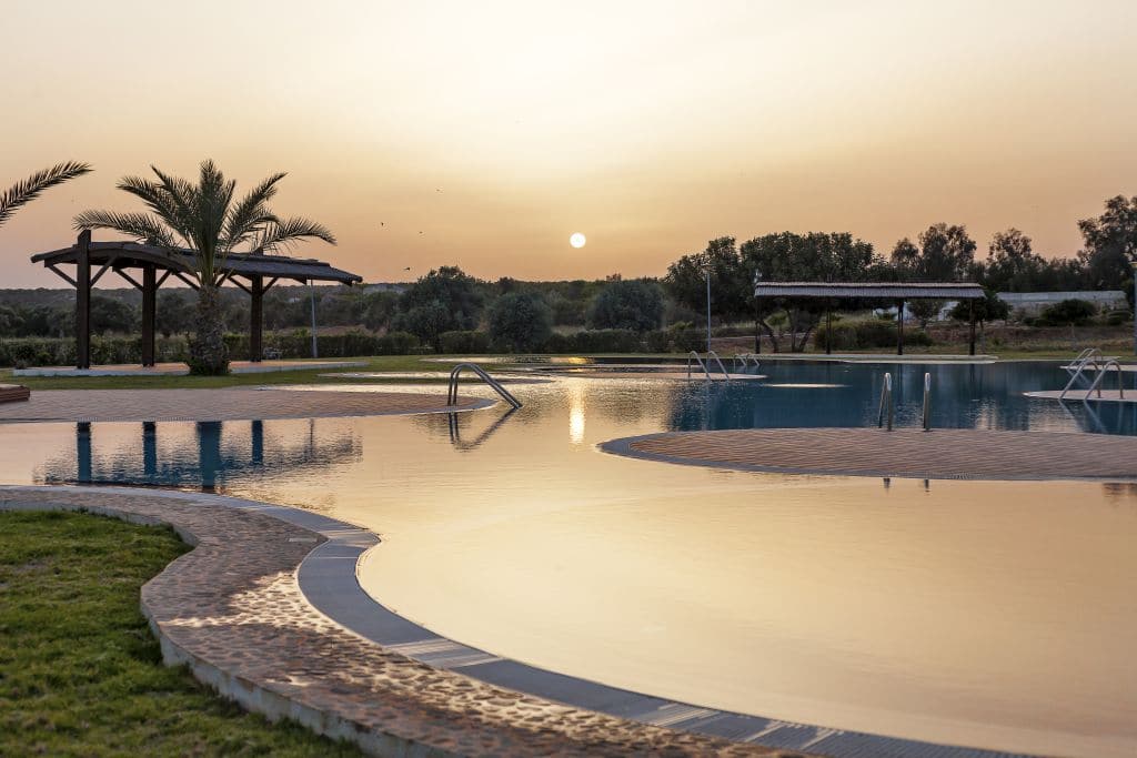 invest in thalassa 2021