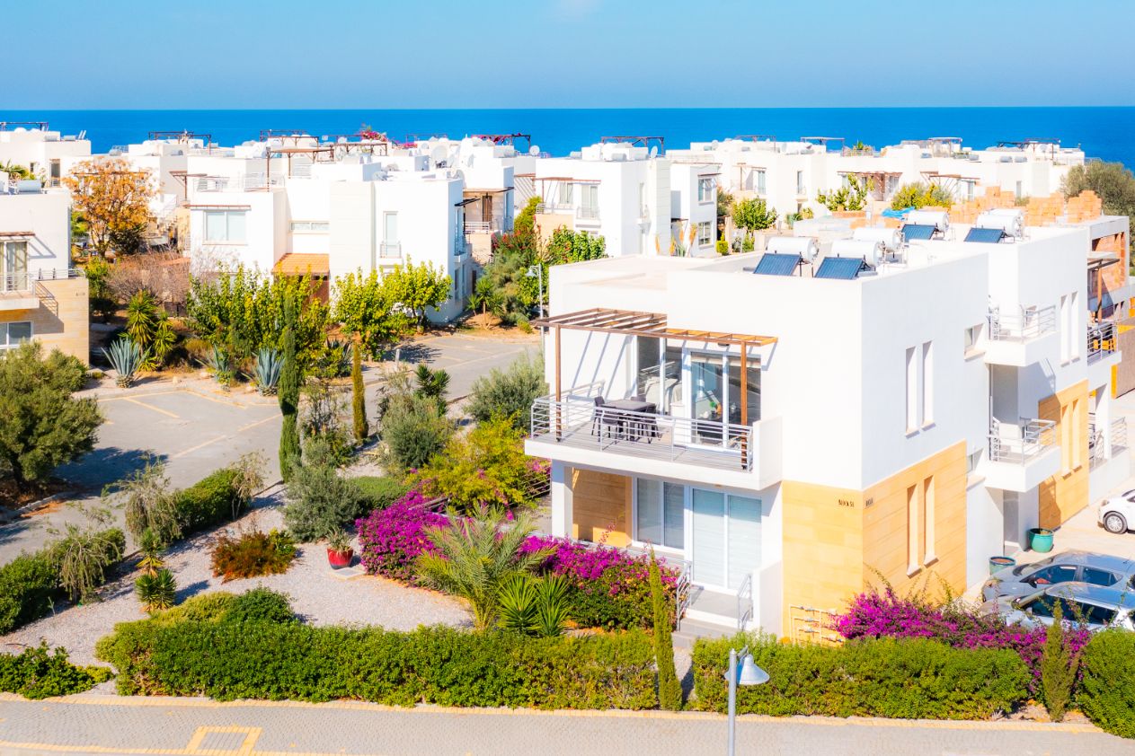 olive grove investment property
